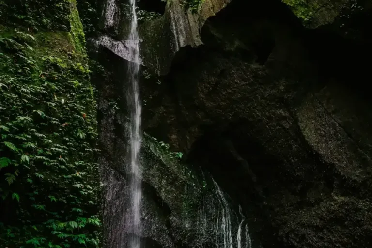 Jungle waterfall in lush green forest