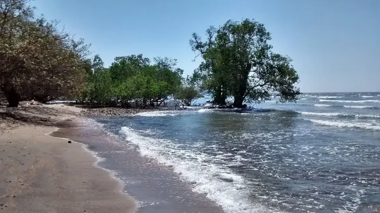 Quiet beach lined with trees at Rhee, Sumbawa Regency