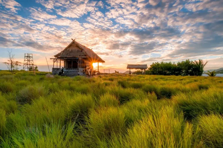 Traditional hut on the grassy hilltop of Kenawa Island, West Sumbawa, at sunset