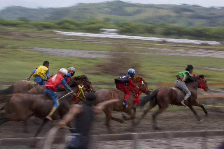 Child jockeys racing horses in traditional Sumbawa horse racing
