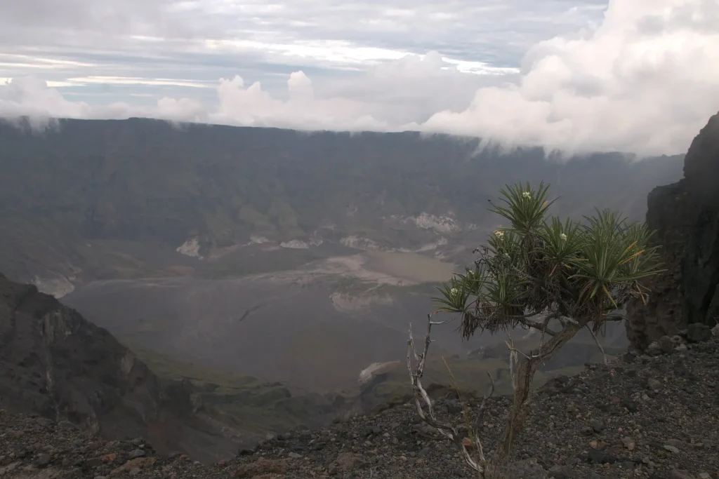 Crater of Mount Tambora