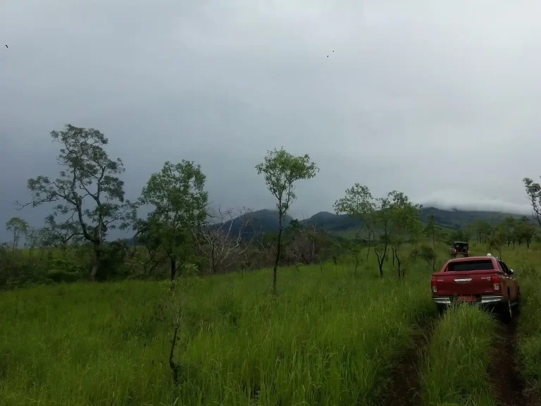 Hiking trail in Mount Tambora National Park
