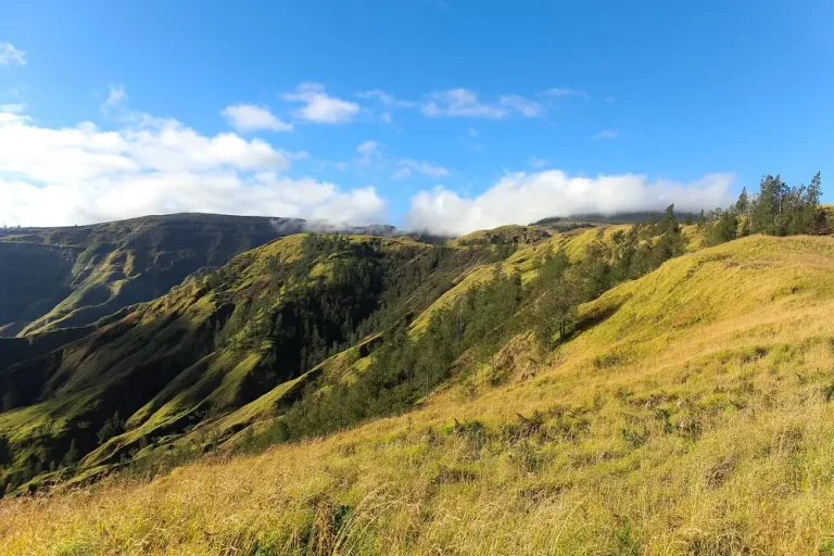 Landscape of Mount Tambora