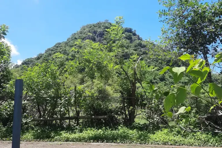 Panorama from Bukit Olat Maras, Sumbawa