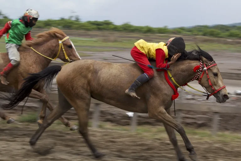 Traditional Main Jaran horse race in Sumbawa